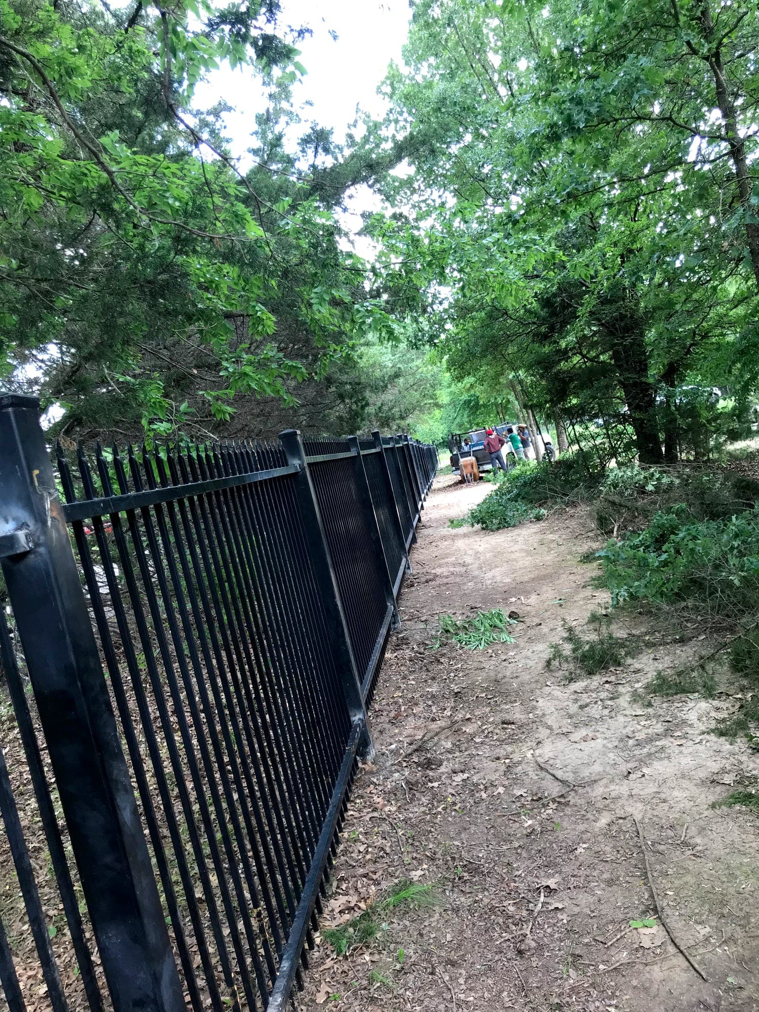 Steel perimeter fencing installed along a wooded property line